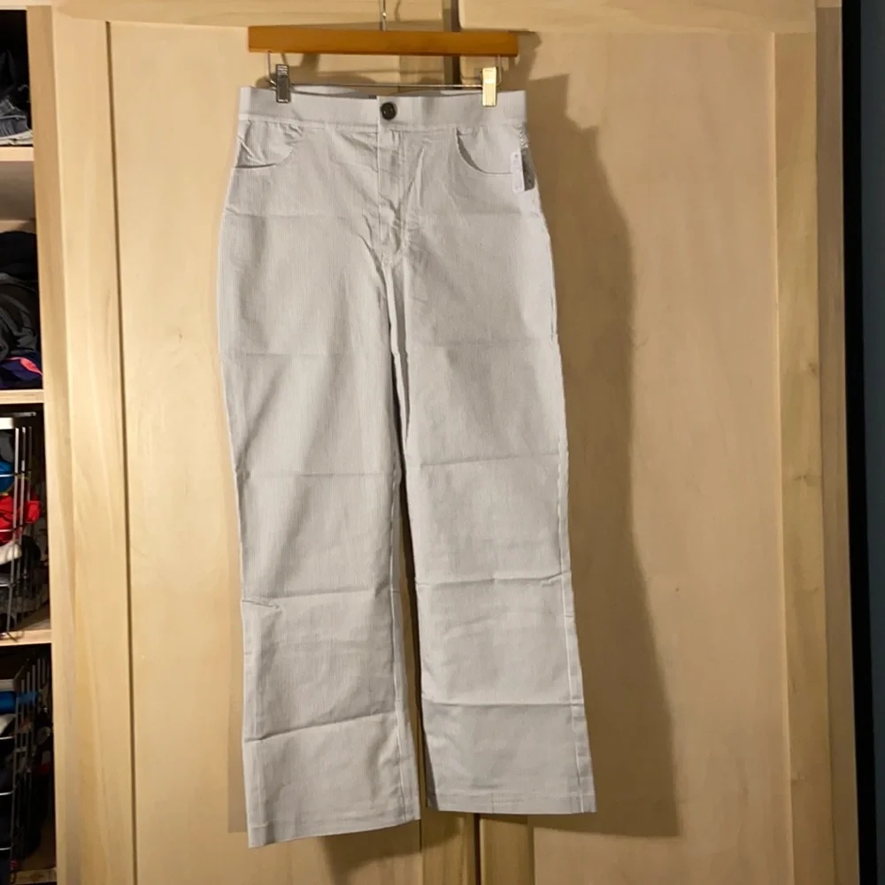 Free People Pinstripe Navy and White Trouser Pants - Picture 2 of 8